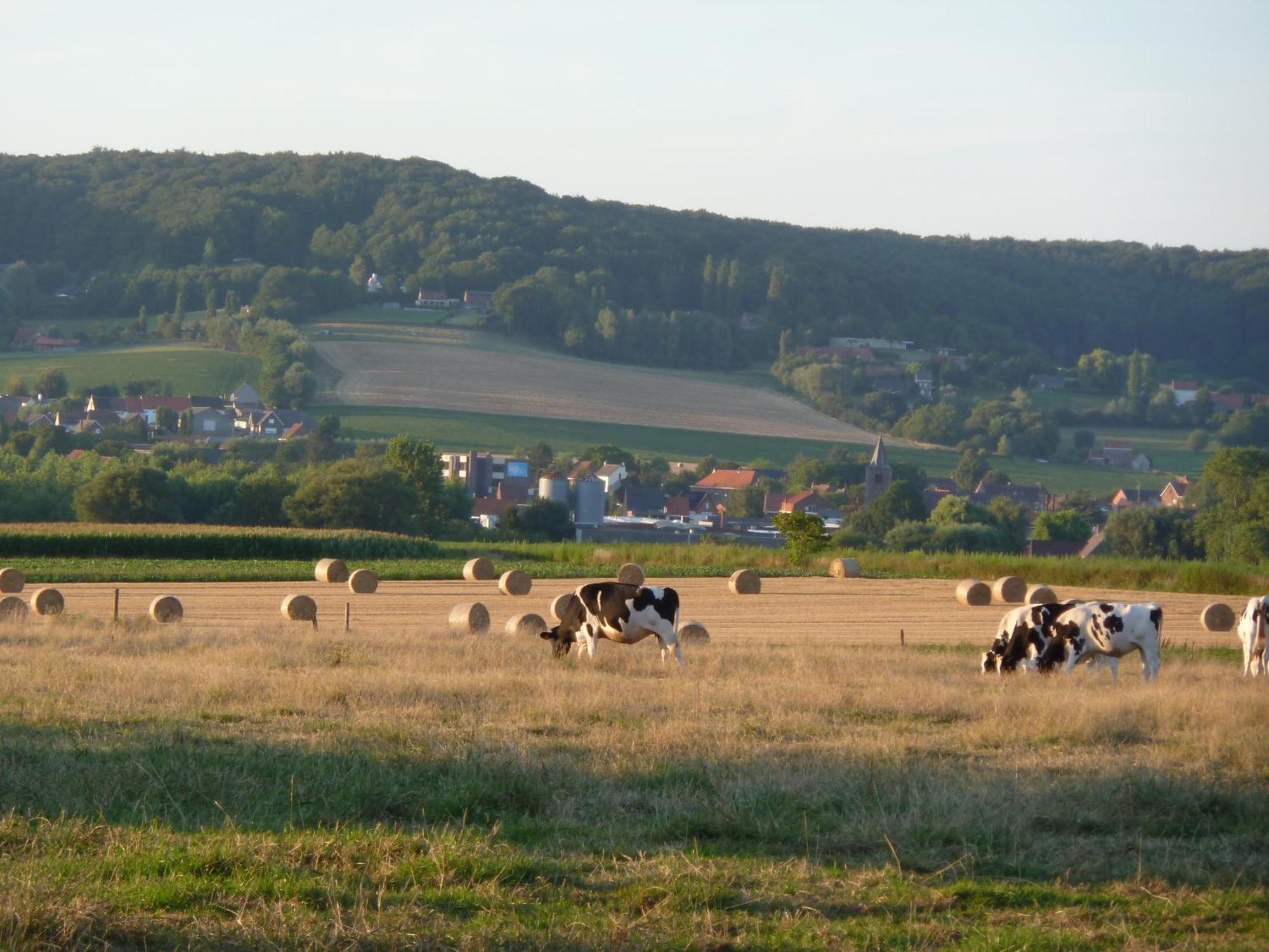 Entre Monts Et Collines B&B Et Spa En Option Buitenkant foto